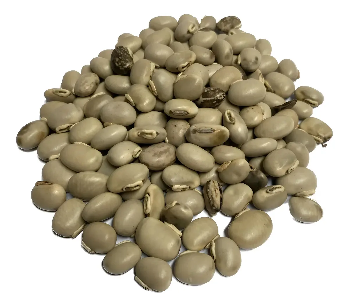 Mucuna Pruriens Sementes A Granel 4kg Plantio Adubação E Forragem