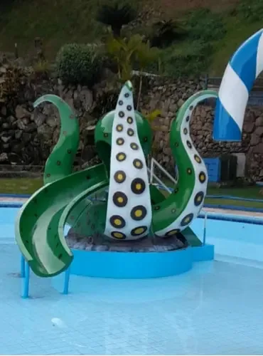 Ducha Escorregador Em Formato De Polvo Em Fibra De Vidro Cor Verde-escuro