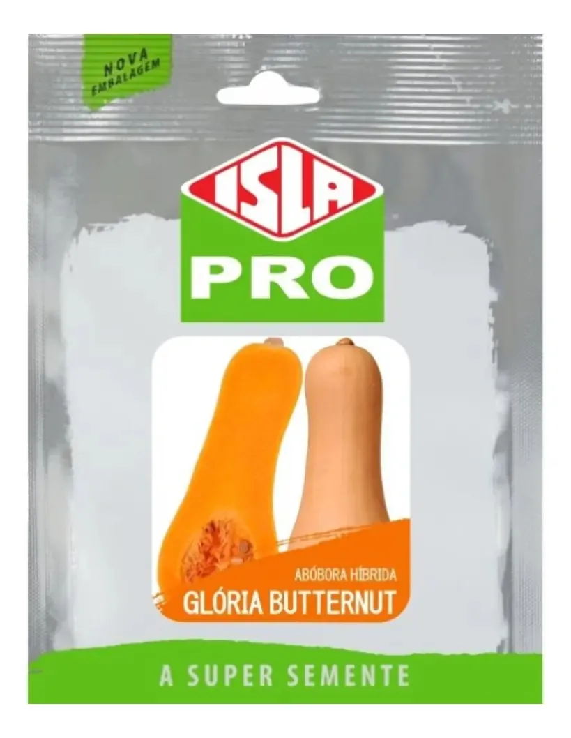 Abóbora Híbrida Glória - 1,7gr De Sementes - 20 Sementes
