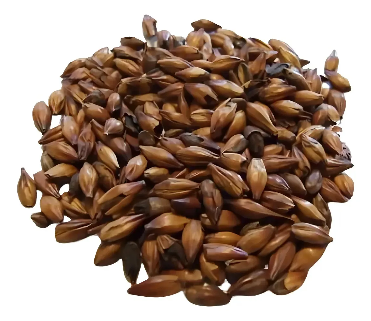 Cereais Cevada WEYERMANN Caraaroma 1 kg