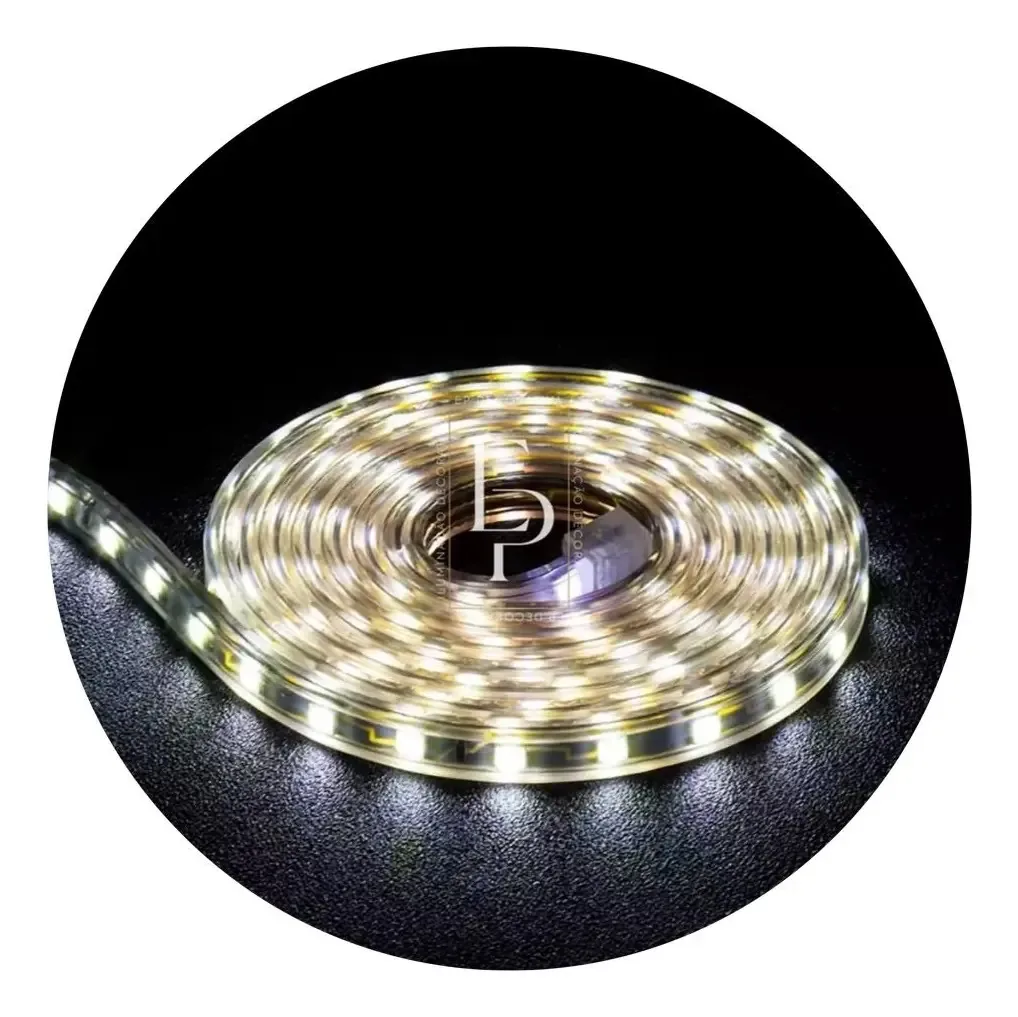 Fita LED EP Decorativa Mangueira Fita Led 5050 Chata 5050 branca-fría 10m IP65