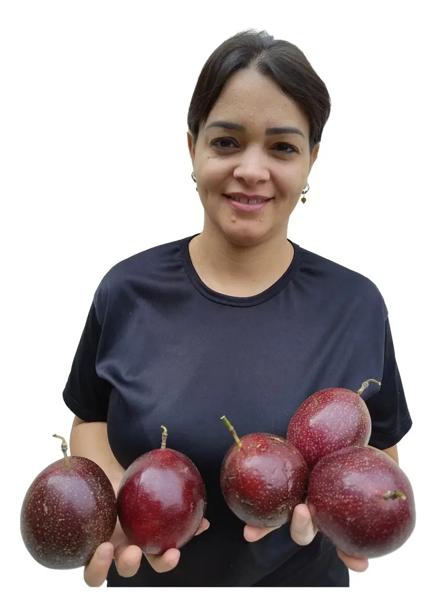 50 Sementes Maracujá Roxo Fruta Subtropical