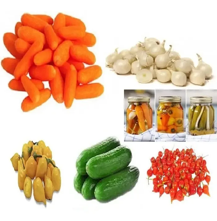 Kit de Sementes Isla Pepino Cebola Cenoura Pimenta Tempero Legumes