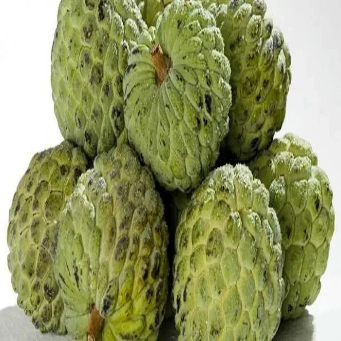 50 Sementes Fruta-do-conde Para Plantio +