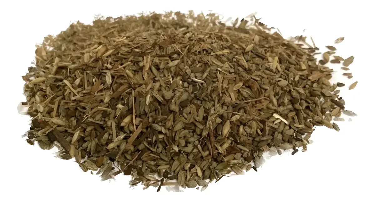 Sementes de Capim Mombaça para Pastejo de Bovinos – 3 kg