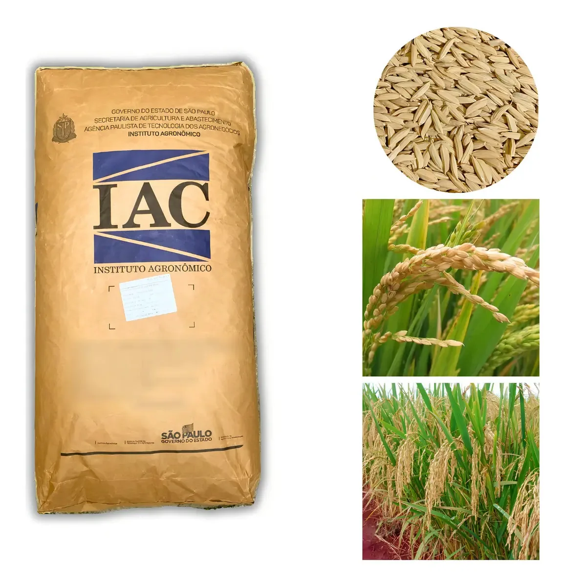 Arroz Sequeiro Iac 202 - 17kg De Sementes Safra-23