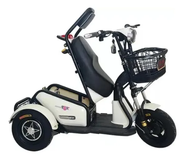 Triciclo Elétrico 800w