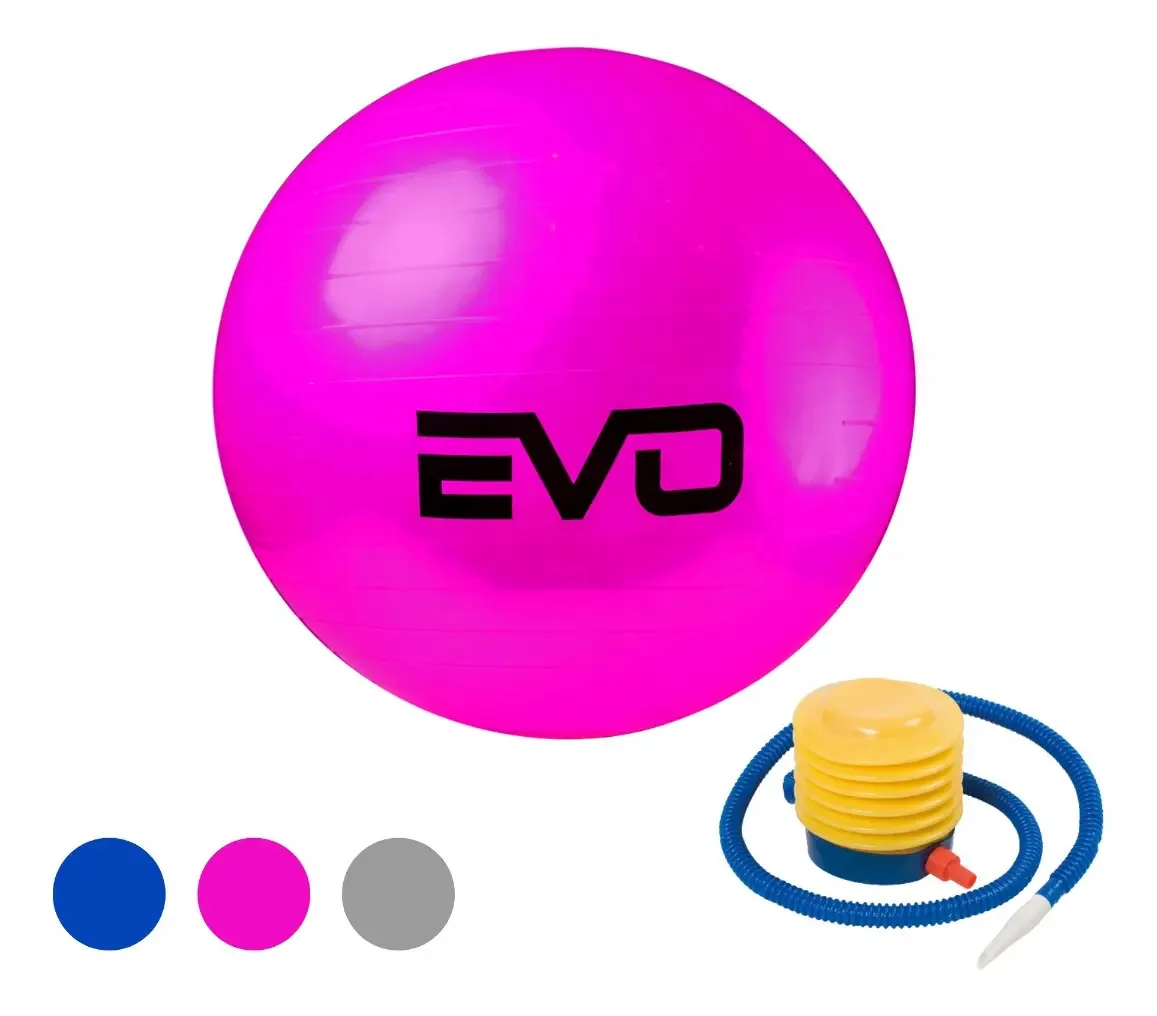 Bola De Pilates Yoga Funcional Fitness 65cm C/ Bomba Evo Cor Rosa