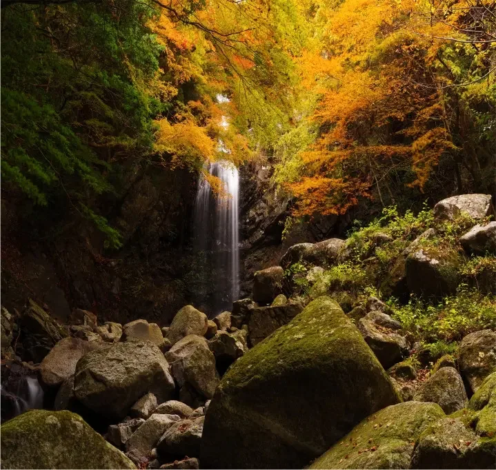 Adesivo Cachoeira Natureza Pedra Papel Parede Floresta Gg244