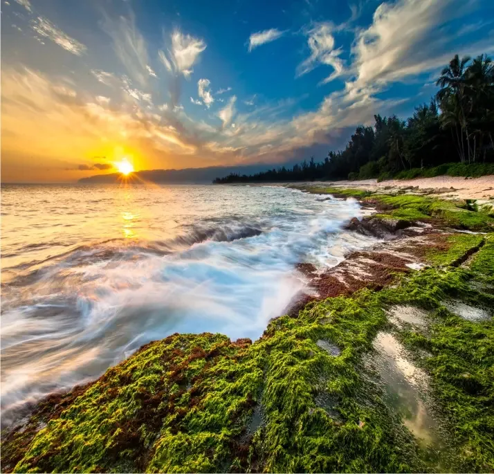 Adesivo Paisagem Praia Natureza Papel Parede Mar Sol Gg290