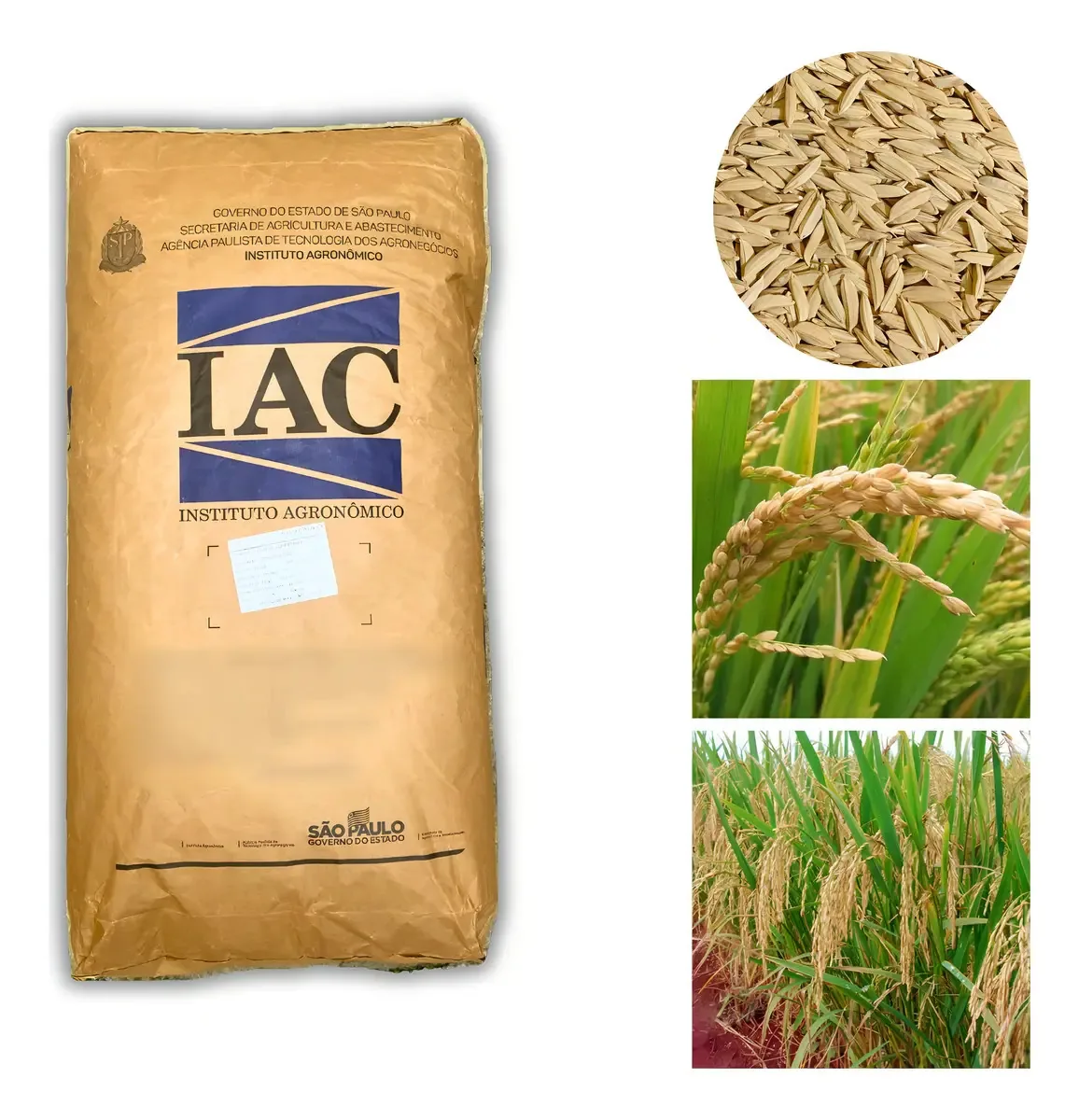 Arroz Sequeiro Iac 202 - 26kg De Sementes Safra-23