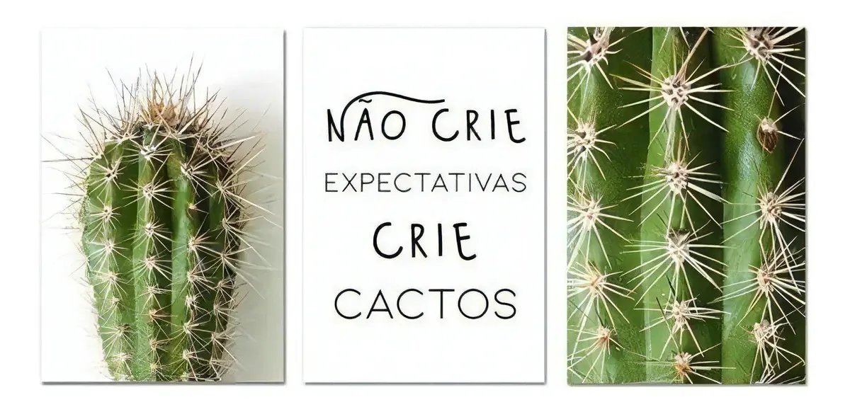 Kit Placas Quadros Decorativos 3 Pçs Mdf 30x45 Cactos