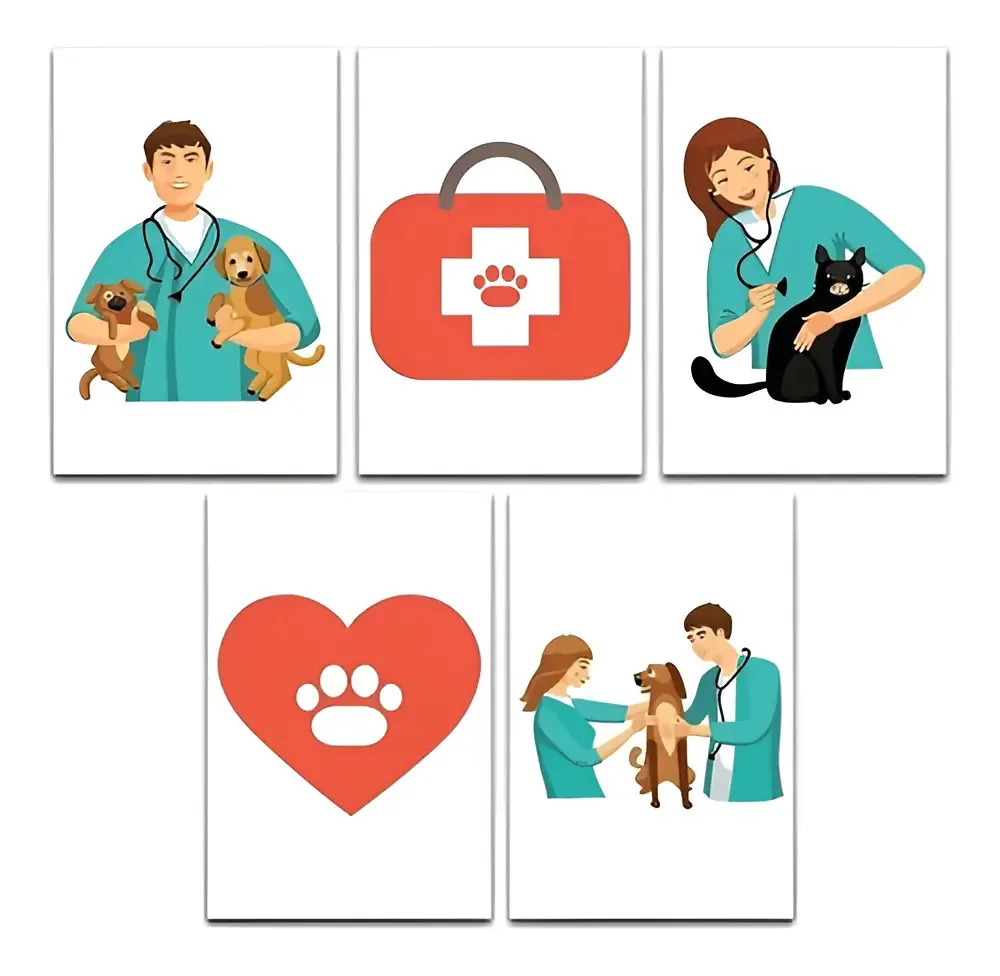 Kit Placas Quadros Decorativos 5 Pçs Mdf 20x30 Veterinário