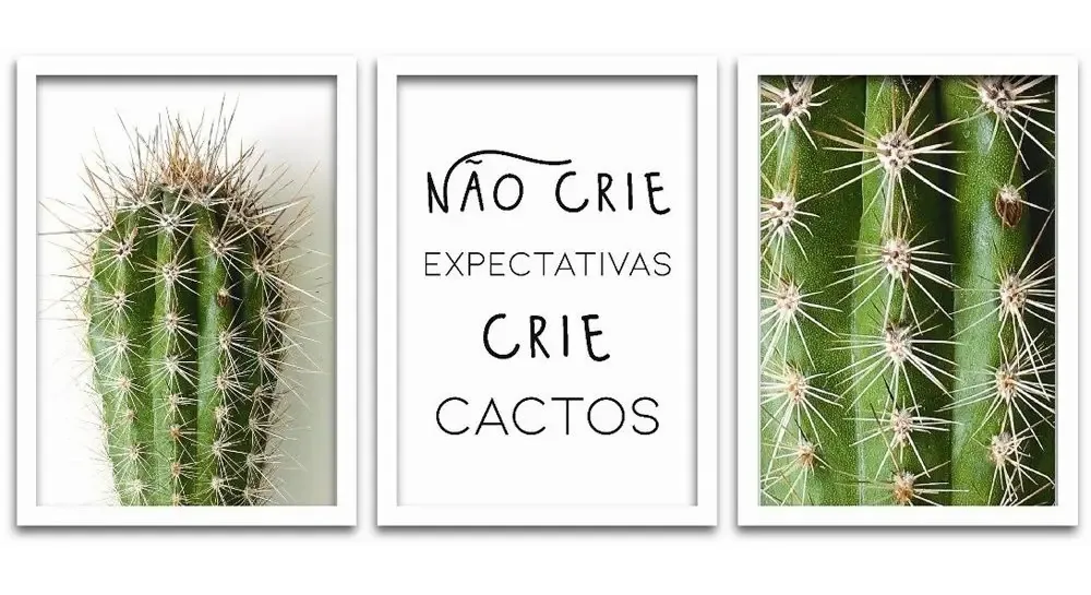 Conjunto Quadros Decorativos 20x30 3 Peças Cacto