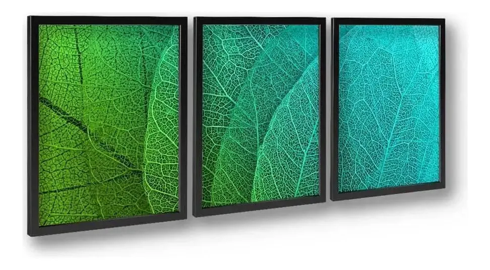 Quadros Fundo De Folhas