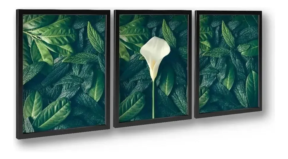 Quadros Tulipa Festiva