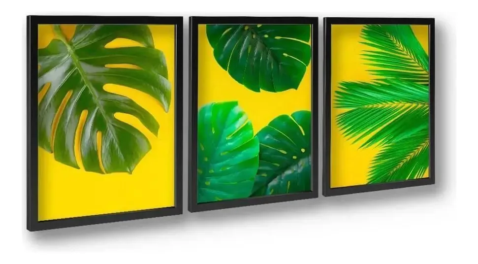 Quadros Folhagem Costela De Adão