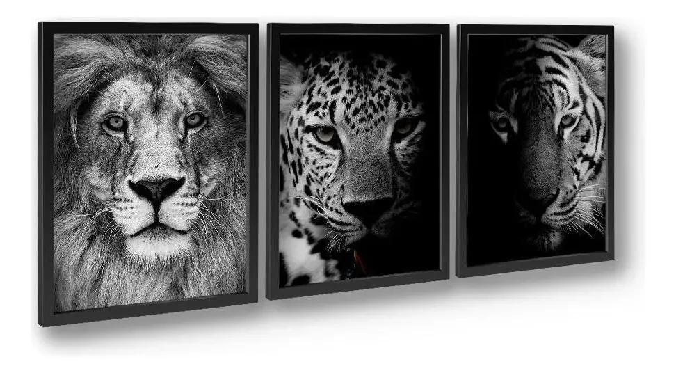 Quadro Decorativo Kolor Quadros Quadros Onça, Leão E Tigre Quadros Onça, Leão E Tigre Cor Da Armação Preto - Madeira