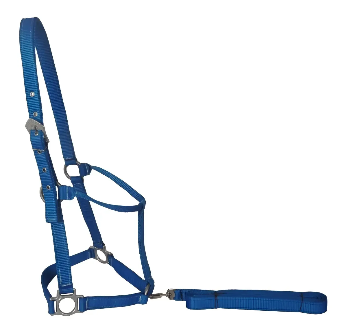 Cabresto Para Cavalos Quarto De Milha Preto Cor Azul