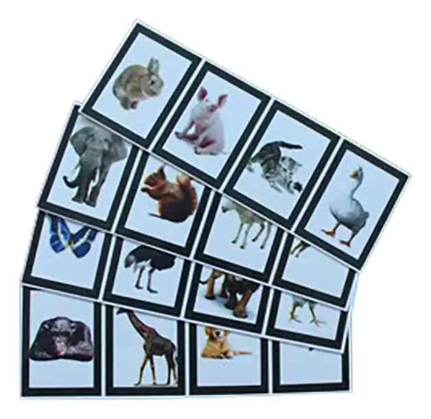 Mágica Animental Magic Up (mágica Com Animais)