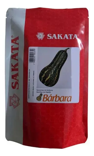 Sementes De Abóbora Bárbara - 1.000 Sementes - Sakata