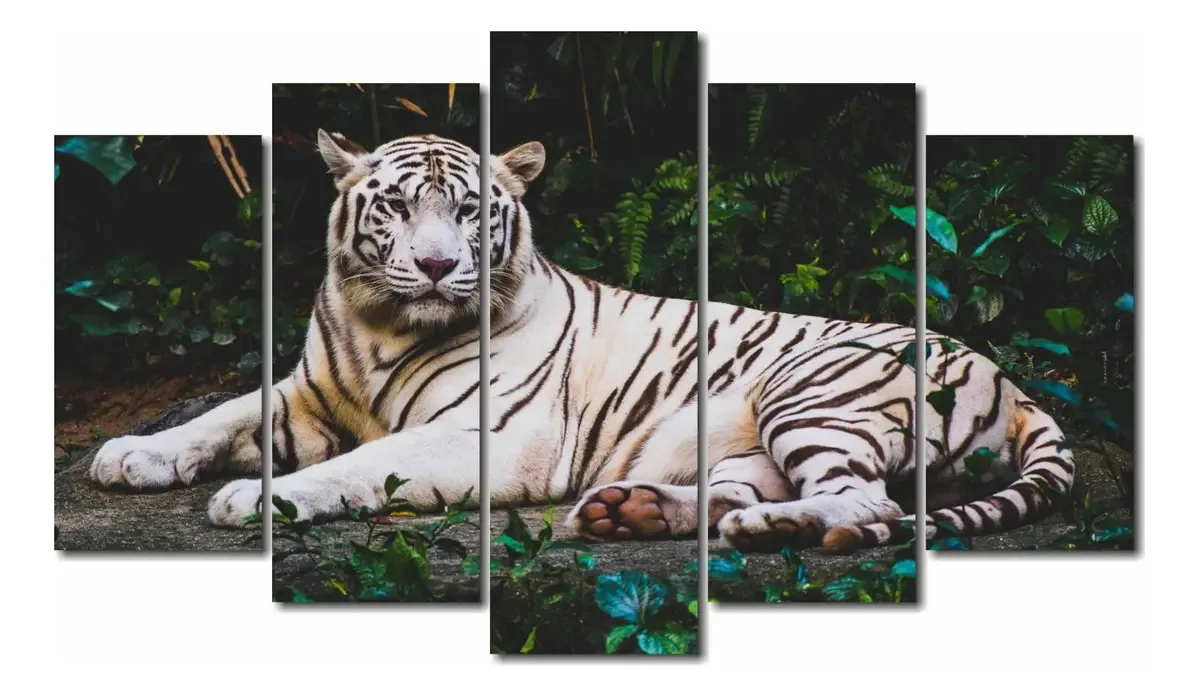 Quadros Decorativos Tigre Branco 5 Peças