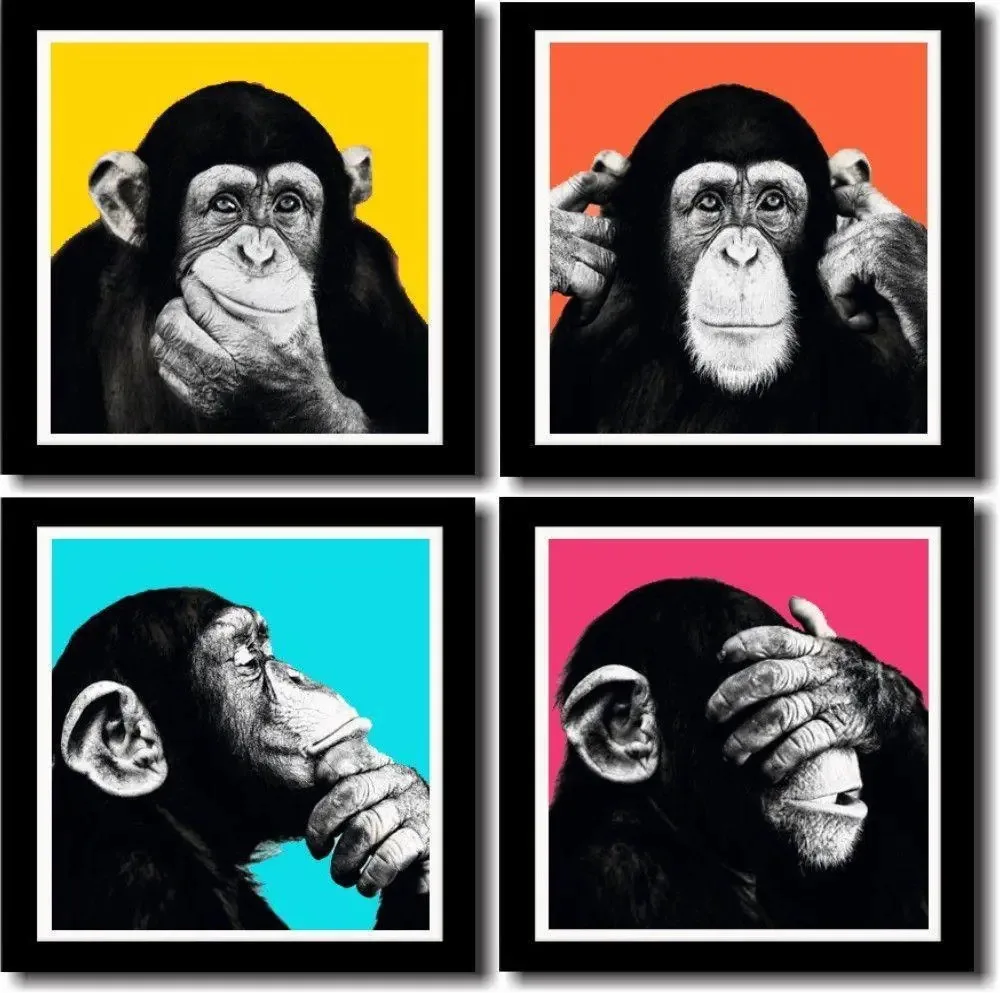 Kit Quadros Decorativos Macaco Engraçado Moderno