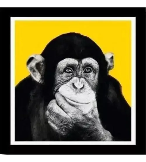 Quadro Decorativo Macaco Pensativo