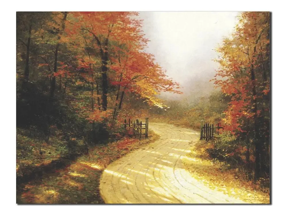 Quadro Decorativo Estrada Na Floresta