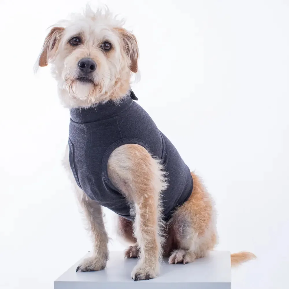 Colete Calm Pet Cinza N3 Colcpc 3284881