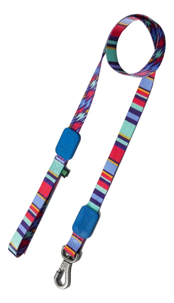 Guia Resistente para Cachorro Zooghy 1.2m Raios e Listras Azul
