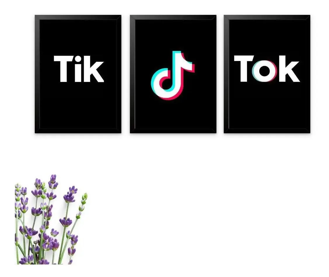 Kit De Quadros Decorativos Tik Tok