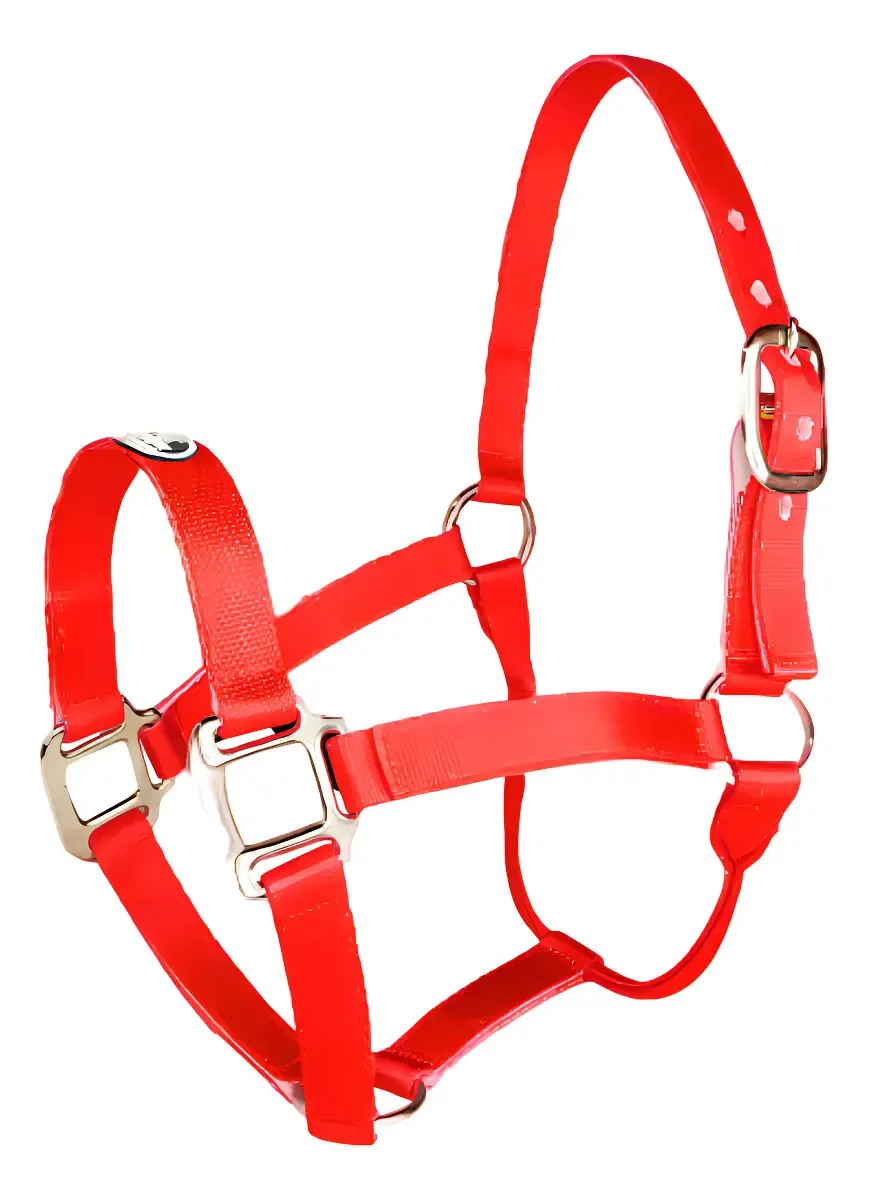 Cabresto Tamanho Médio Vermelho - Boots Horse