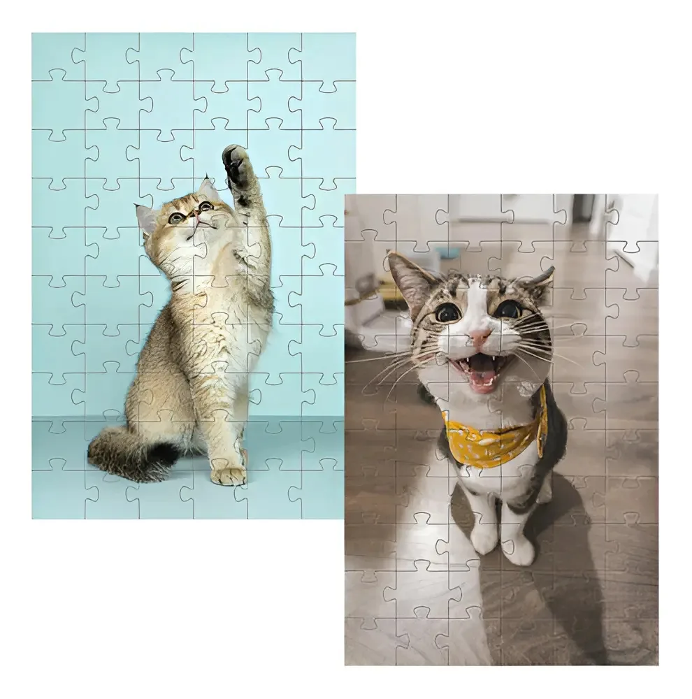 Kit 2 Quebra-cabeças Cognitivos Gatinhos De 60 Peças
