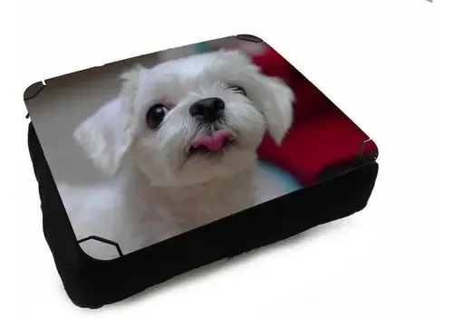 Almofada Bandeja Suporte Notebook Cachorro, Maltês