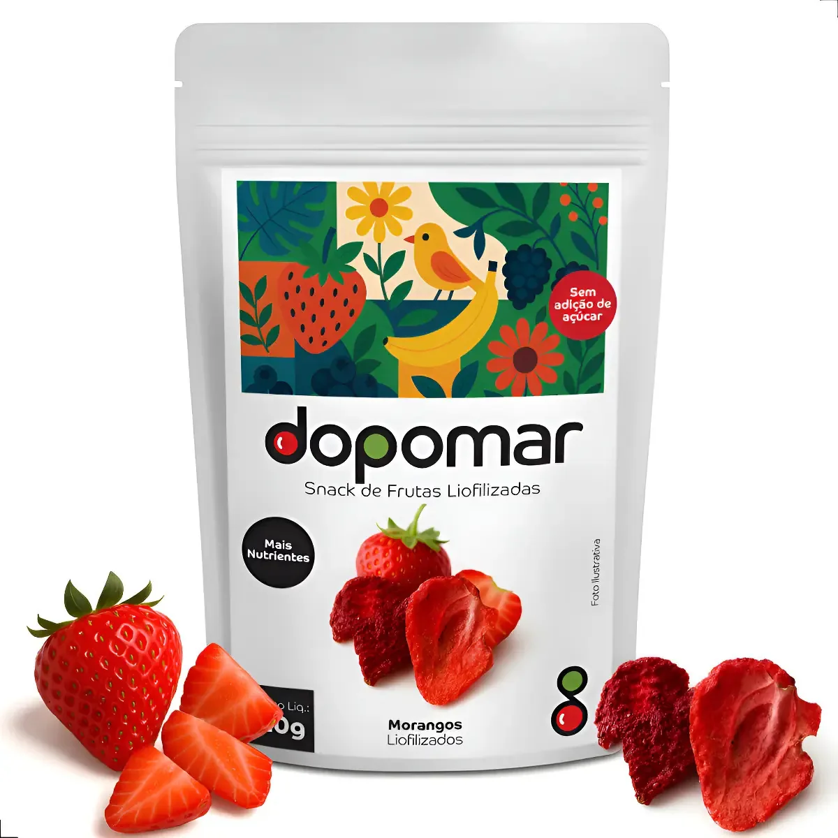 Morangos Chips Liofilizados Frutas Snack 10g 100% Natural