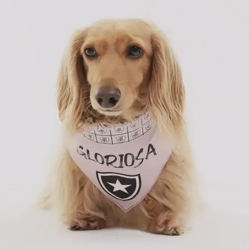 Bandana Botafogo Gloriosa P