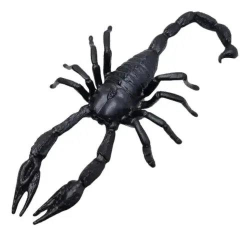 Escorpiao Grande