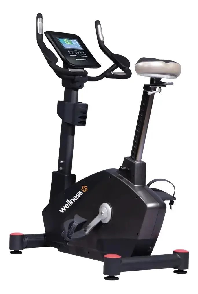 Bike Ergométrica Wellness Vertical Profissional - Gy081 Cor Preto