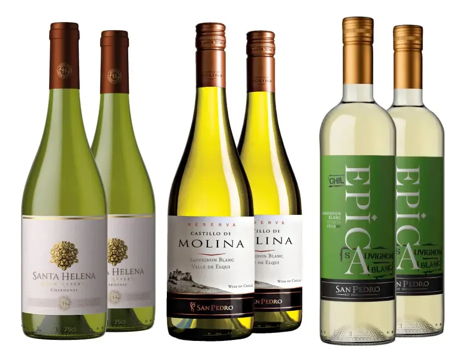 Kit Vinhos Brancos Chilenos 06 Unidades