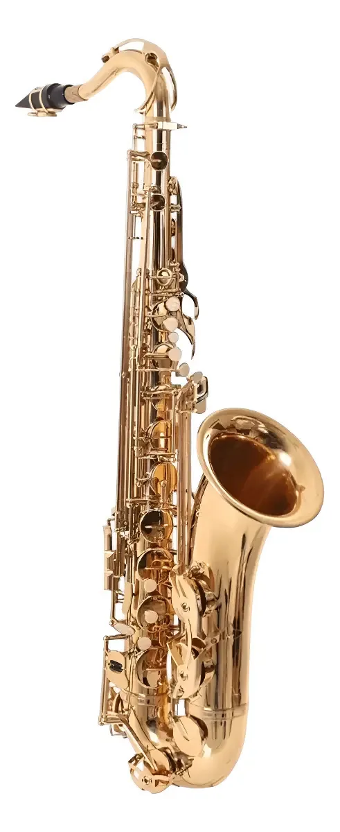 Saxofone Tenor Laqueado Sib Zts600l - Zellmer Cor Dourado