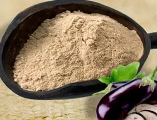 Farinha De Berinjela - 100g