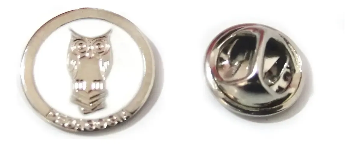 Broche Pedagogia Professora Folheado Níquel