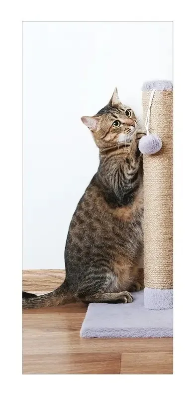 Adesivo Decorativo De Porta - Gato - Pet Shop - 2673mlpt Cor Colorido