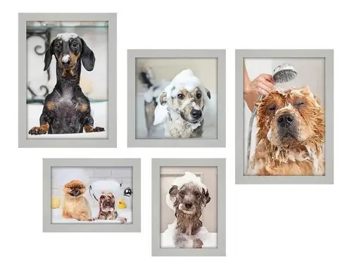 Kit Com 5 Quadros Decorativos - Pet Shop Cachorros Banho Cor Moldura Branca