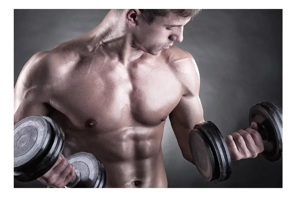Adesivo De Parede Academia Fitness Musculação Ginástica Cor 0031pad