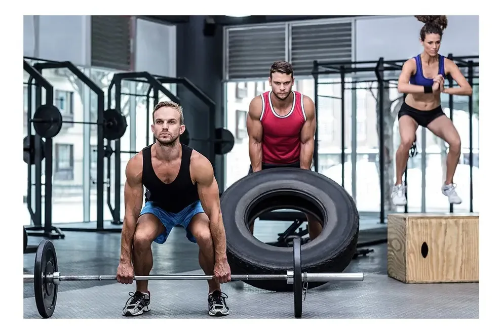 Adesivo De Parede Academia Fitness Musculação Ginástica Cor 0033pad