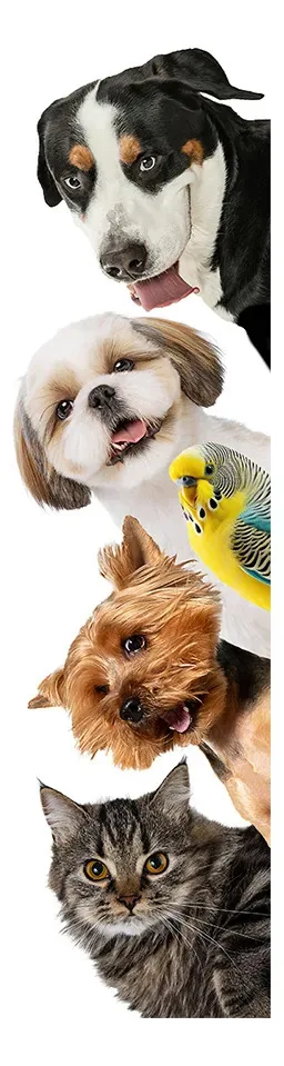 Adesivo Decorativo De Porta Pet Shop Animais - 3029mlpt Colorido