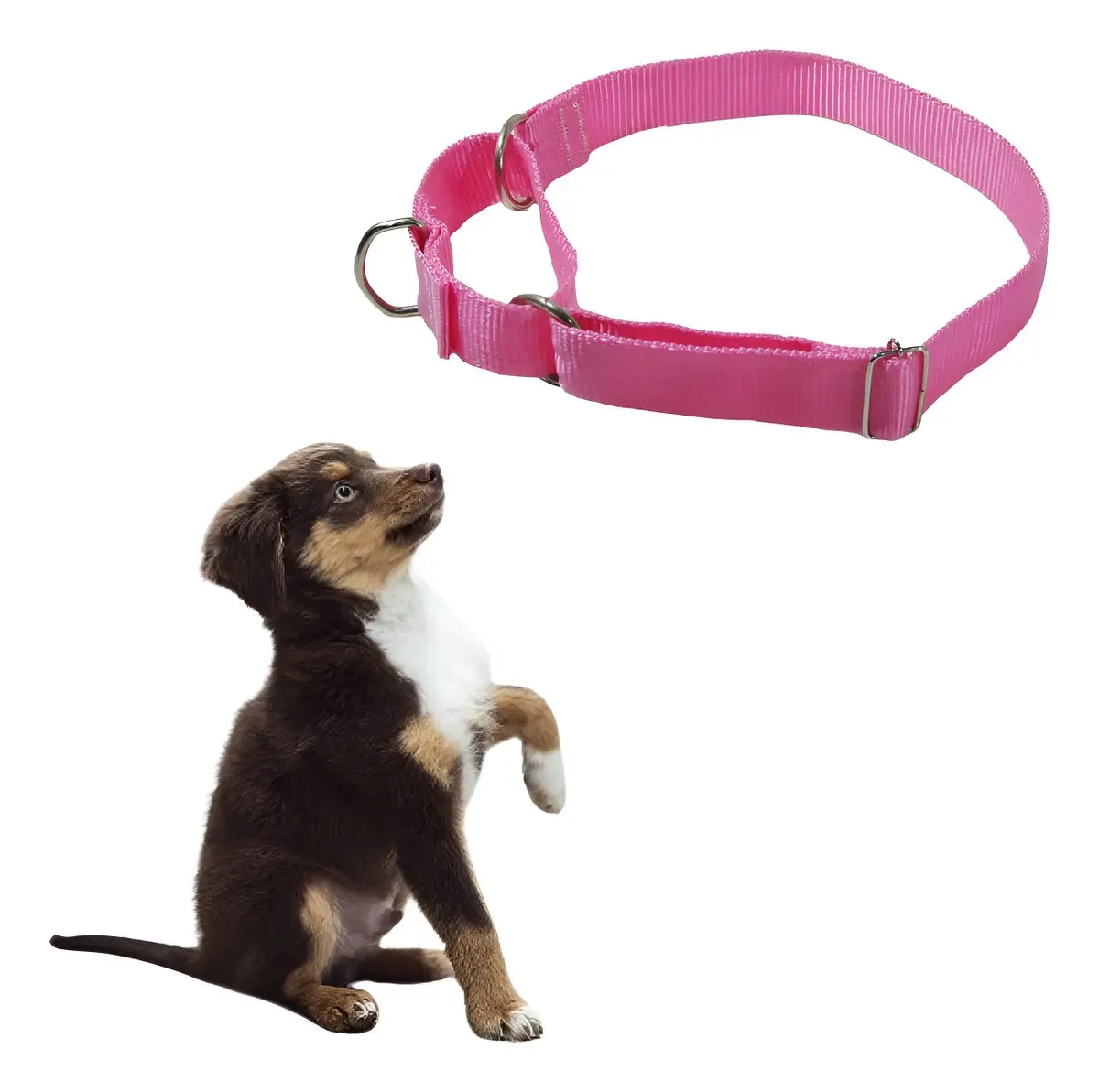 Coleira Belga G Ajustável Pet Cães Adestramento E Passeio Cor Rosa