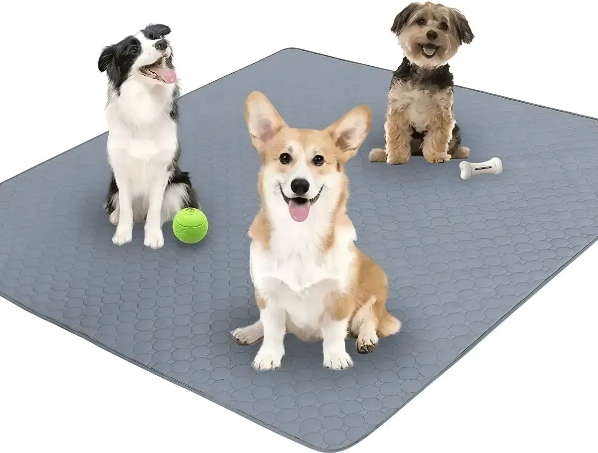 Tapetes laváveis de urina para cães